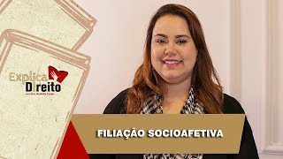 Explica Direito Filiação Socioafetiva  2019 [upl. by Alfonso368]