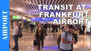 TRANSIT WALK AT FRANKFURT Airport FRA Terminal 1  Connection Flight Transfer Arriving amp Departing [upl. by Novrej]